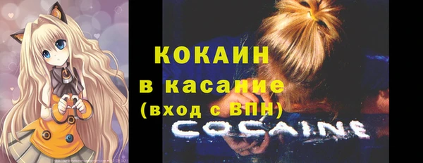 твердый Михайловка