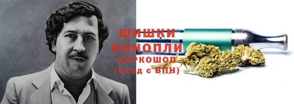 стафф Надым