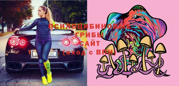 твердый Михайловка