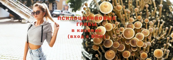 мяу мяу мука Наволоки